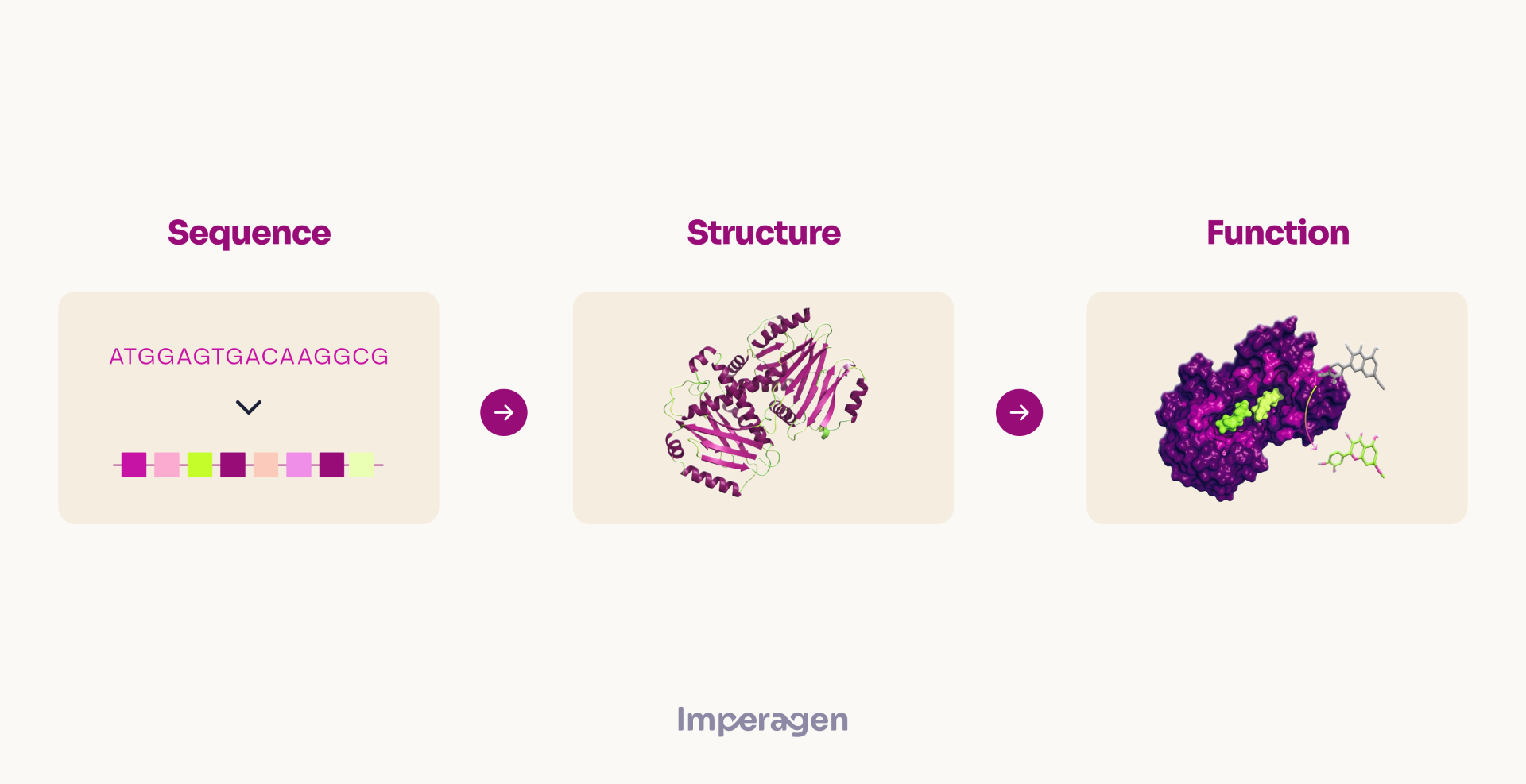 AI Alone Can't Engineer A Better Enzyme | Imperagen Resources